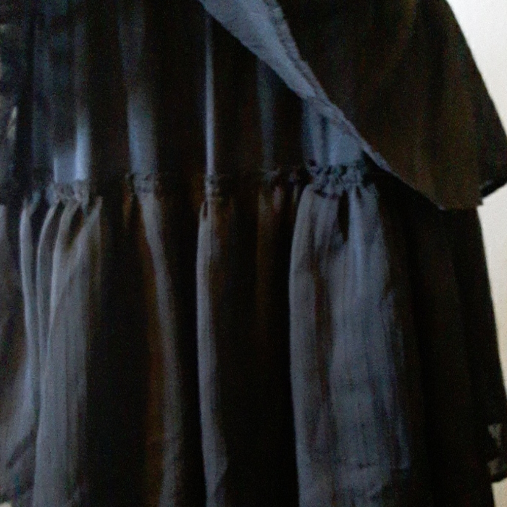 Xtaren Black Ruffled Gothic Gown - Picture 9 of 15